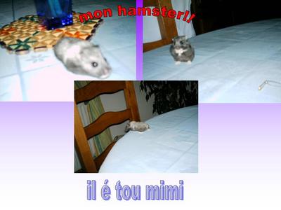 --->mon premier fils