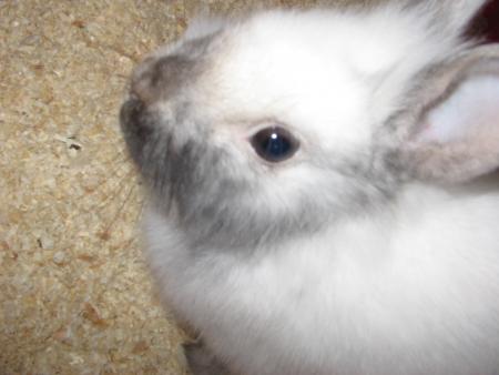 ----->mon deuxieme fils(pooky)